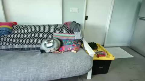 Snapshot of daddycache chatting on October 2025 08:35:01 PM bas online show from October 2025 08:35:01 PM