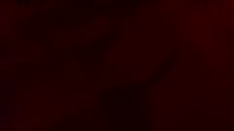 daddywhite88 online show from March 2026 05:24:01 AM