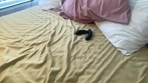 Snapshot of dadstrokin chatting on March 2026 05:28:01 PM dadstrokin online show from March 2026 05:28:01 PM