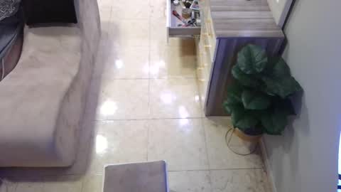 Deffa online show from February 2025 12:54:02 PM