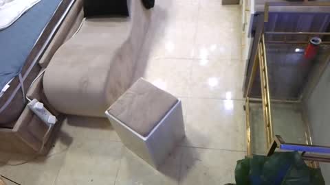 Deffa online show from March 2025 10:09:01 AM