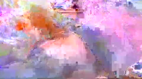 Snapshot of dafo1980 chatting on April 2026 12:19:02 PM dafo1980 online show from April 2026 12:19:02 PM