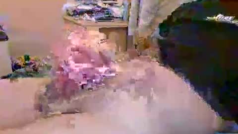 Snapshot of dafo1980 chatting on April 2026 10:14:02 AM dafo1980 online show from April 2026 10:14:02 AM
