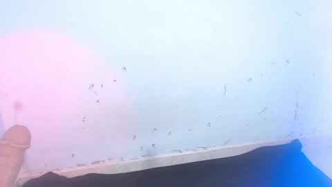 Snapshot of dakkotta_curvy chatting on September 2025 07:08:01 AM VALENTINA online show from September 2025 07:08:01 AM