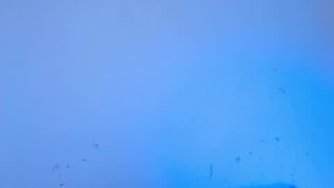 Snapshot of dakkotta_curvy chatting on September 2025 06:57:02 AM VALENTINA online show from September 2025 06:57:02 AM