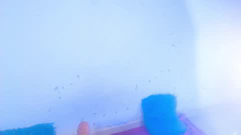 Snapshot of dakkotta_curvy chatting on September 2025 07:20:02 AM VALENTINA online show from September 2025 07:20:02 AM