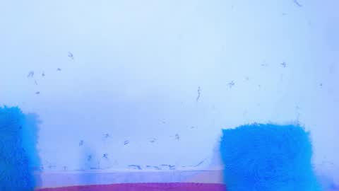 Snapshot of dakkotta_curvy chatting on September 2025 07:32:02 AM VALENTINA online show from September 2025 07:32:02 AM