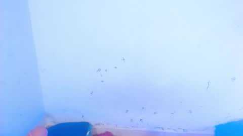 Snapshot of dakkotta_curvy chatting on September 2025 07:21:02 AM VALENTINA online show from September 2025 07:21:02 AM