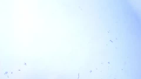 Snapshot of dakkotta_curvy chatting on September 2025 07:47:01 AM VALENTINA online show from September 2025 07:47:01 AM