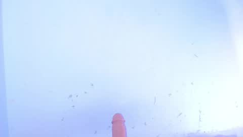 Snapshot of dakkotta_curvy chatting on October 2025 07:51:01 AM VALENTINA online show from October 2025 07:51:01 AM