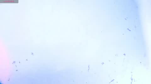 Snapshot of dakkotta_curvy chatting on October 2025 08:13:01 AM VALENTINA online show from October 2025 08:13:01 AM