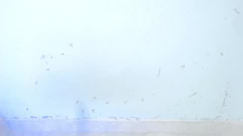 Snapshot of dakkotta_curvy chatting on October 2025 08:48:02 AM VALENTINA online show from October 2025 08:48:02 AM