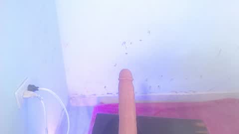 Snapshot of dakkotta_curvy chatting on October 2025 08:03:01 AM VALENTINA online show from October 2025 08:03:01 AM