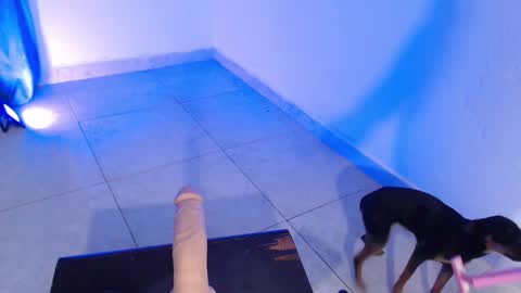 Snapshot of dakkotta_curvy chatting on November 2025 07:41:02 PM VALENTINA online show from November 2025 07:41:02 PM