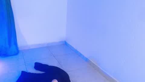 Snapshot of dakkotta_curvy chatting on November 2025 07:30:01 PM VALENTINA online show from November 2025 07:30:01 PM