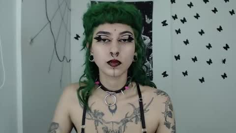 Snapshot of dakota_krall_ chatting on December 2024 02:52:01 AM dakota online show from December 2024 02:52:01 AM