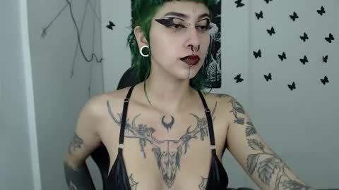 Snapshot of dakota_krall_ chatting on December 2024 02:52:01 AM dakota online show from December 2024 02:52:01 AM