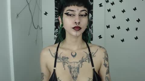 Snapshot of dakota_krall_ chatting on January 2025 09:10:02 AM dakota online show from January 2025 09:10:02 AM