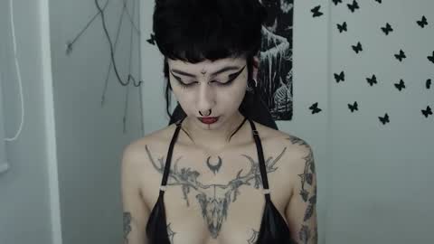 Snapshot of dakota_krall_ chatting on January 2025 08:01:01 AM dakota online show from January 2025 08:01:01 AM