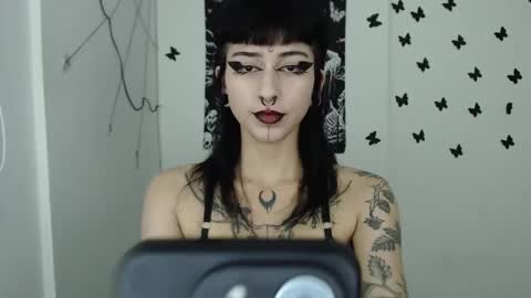 Snapshot of dakota_krall_ chatting on February 2025 12:28:01 AM dakota online show from February 2025 12:28:01 AM