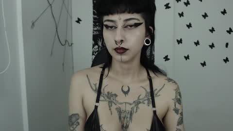 Snapshot of dakota_krall_ chatting on February 2025 05:48:01 AM dakota online show from February 2025 05:48:01 AM