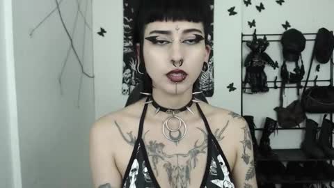 Snapshot of dakota_krall_ chatting on September 2025 04:34:02 AM dakota online show from September 2025 04:34:02 AM