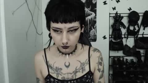 Snapshot of dakota_krall_ chatting on November 2025 04:33:02 AM dakota online show from November 2025 04:33:02 AM