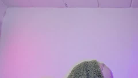 Criss online show from February 2025 04:21:01 AM