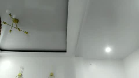 damnperfectxx online show from November 2025 01:06:01 AM