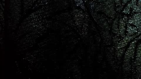 Damson online show from September 2025 08:09:02 AM