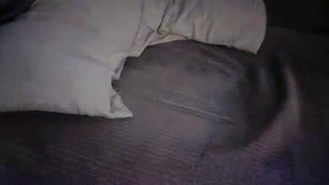 dan5666 online show from November 2025 09:00:02 AM