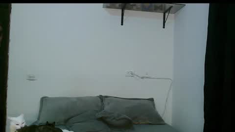 Dan and Noah online show from March 2025 12:27:02 AM