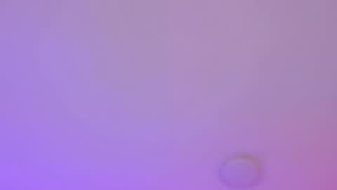 Dana online show from July 2026 03:55:02 AM