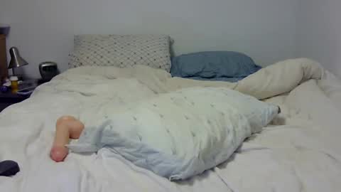 Snapshot of dandyhandys chatting on February 2025 02:19:01 AM Andy online show from February 2025 02:19:01 AM