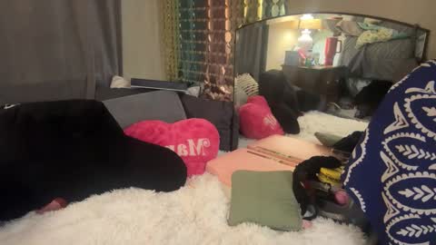 Dani Dragon online show from February 2025 08:32:02 AM