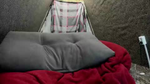 Snapshot of daniel_like chatting on November 2025 01:11:01 PM Just Ben online show from November 2025 01:11:01 PM