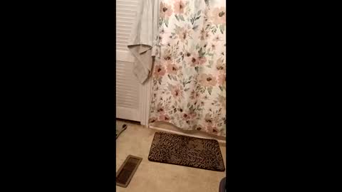 danielgilligan973 online show from December 2025 10:46:01 AM