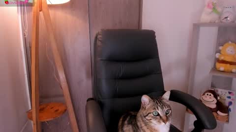 Danielle Rose online show from November 2025 08:22:02 PM