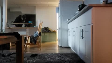 Snapshot of danimal5000 chatting on November 2025 04:18:01 PM danimal5000 online show from November 2025 04:18:01 PM