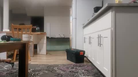 Snapshot of danimal5000 chatting on November 2025 04:00:02 PM danimal5000 online show from November 2025 04:00:02 PM