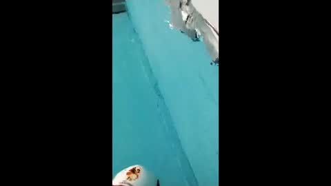 Snapshot of danipas_30 chatting on February 2026 05:57:01 AM danipas_30 online show from February 2026 05:57:01 AM