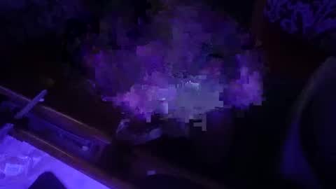 Snapshot of dankfuckcouple chatting on September 2025 12:32:02 PM dankfuckcouple online show from September 2025 12:32:02 PM