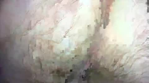 Snapshot of dankz4two0 chatting on December 2024 01:32:01 PM dankz4two0 online show from December 2024 01:32:01 PM