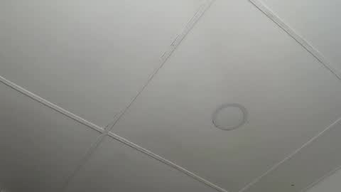 Snapshot of dannaberlin_0 chatting on February 2025 12:22:02 PM dannaberlin_0 online show from February 2025 12:22:02 PM