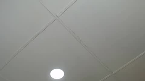 Snapshot of dannaberlin_0 chatting on March 2025 12:09:02 PM dannaberlin_0 online show from March 2025 12:09:02 PM