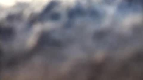 dannowisc online show from February 2026 02:52:02 AM