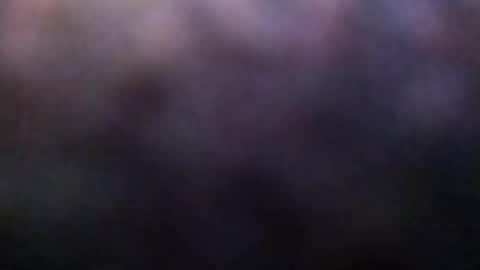 dannowisc online show from February 2026 02:20:02 AM