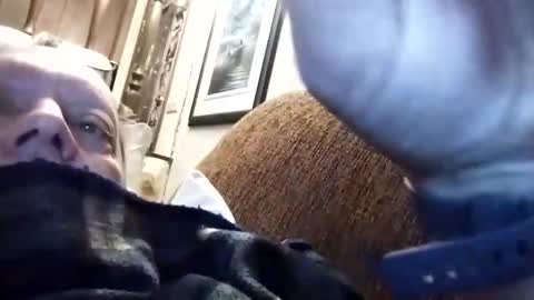 dannowisc online show from March 2026 12:00:01 PM