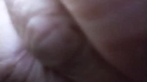 dannowisc online show from June 2026 03:06:02 PM