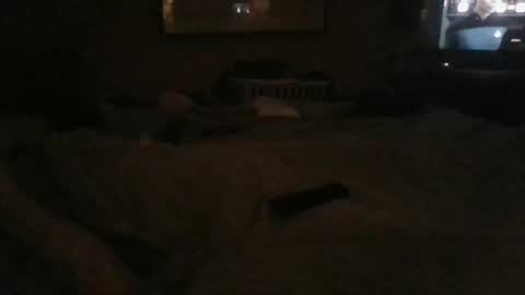 Snapshot of dannyb618 chatting on December 2024 02:43:02 AM Danielle online show from December 2024 02:43:02 AM